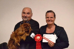 Bedst i køn og vinder af certifikat - Cavalierkluben